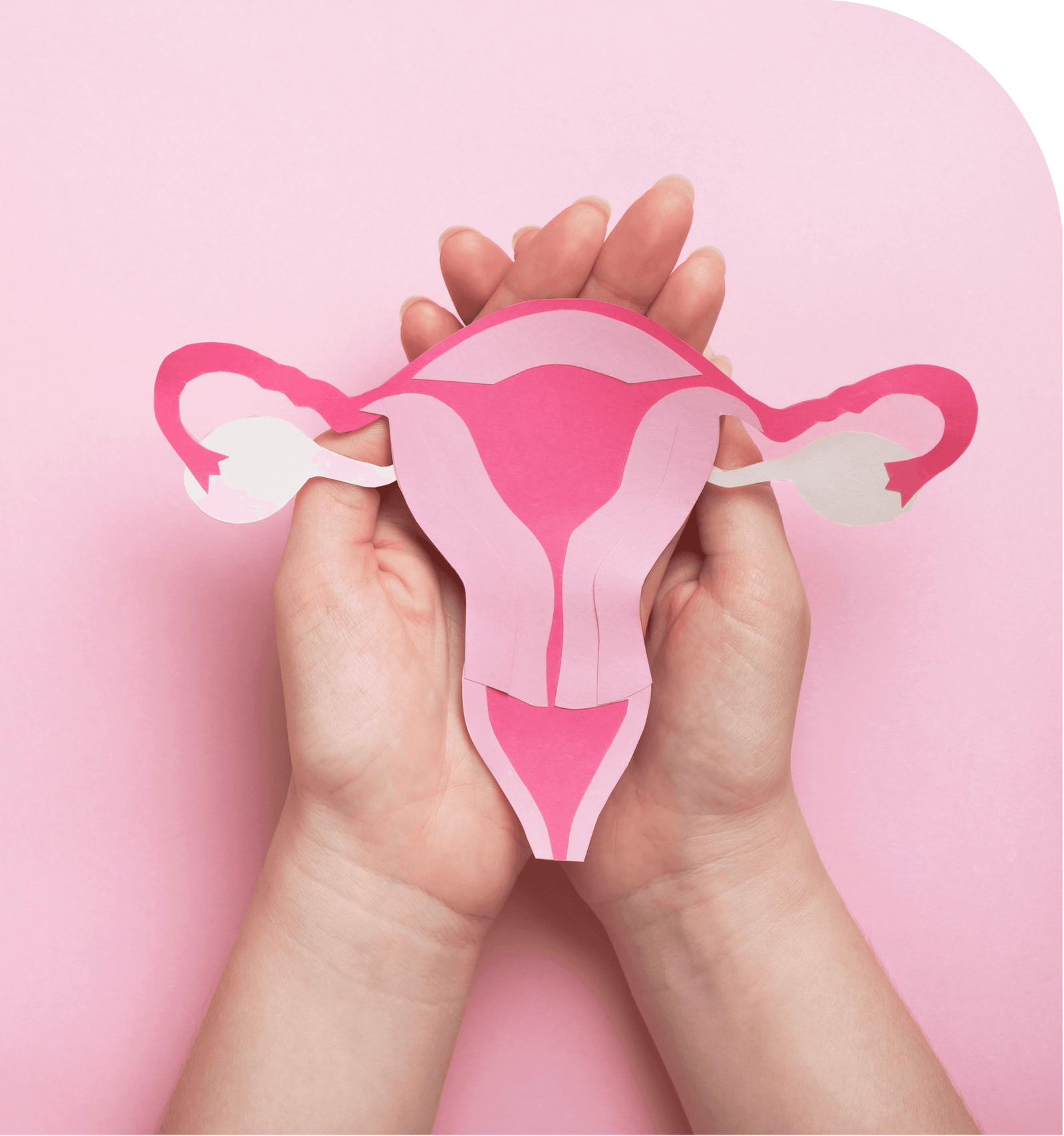 Women Health