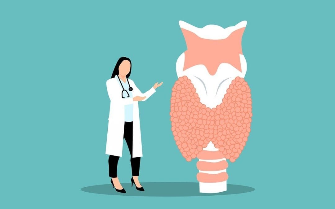 Understanding Hypothyroidism (Underactive Thyroid)